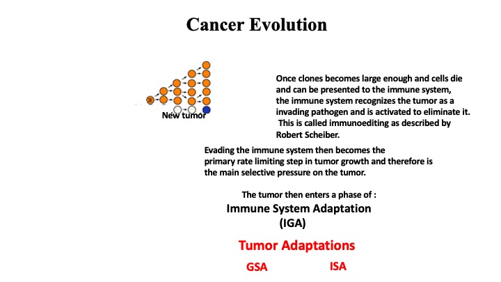 Copy number architectures define treatment-mediated selection of lethal  prostate cancer clones